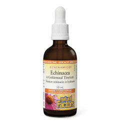 Buy Natural Factors Echinacea & Goldenseal Tincture Online in Canada at Erbamin