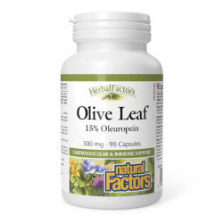 Buy Natural Factors Olive Leaf Online in Canada at Erbamin