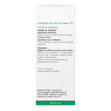 Buy A Vogel Ginkgoforce Online in Canada at Erbamin.