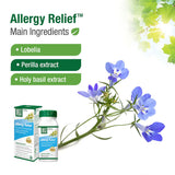 Buy Bell Allergy Relief Online in Canada at Erbamin.