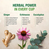 Buy Bell Ezee Breathing Tea Online in Canada at Erbamin.