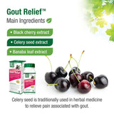 Buy Bell Gout Relief Online in Canada at Erbamin.