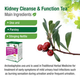 Buy Bell Kidney Cleanse & Function Tea Online in Canada at Erbamin.
