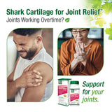 Buy Bell Shark Cartilage Online in Canada at Erbamin.