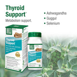 Buy Bell Thyroid Support Online in Canada at Erbamin.