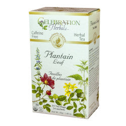 Buy Celebration Plantain Online in Canada at Erbamin.