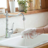 Buy Dr Bronner's Sugar Soap Online in Canada at Erbamin.