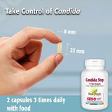 Buy New Roots Candida Stop Online in Canada at Erbamin.