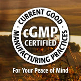 Buy New Roots Lion's Mane Online in Canada at Erbamin.