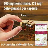 Buy New Roots Lion's Mane Online in Canada at Erbamin.