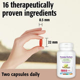 Buy New Roots Prostate Perform Online in Canada at Erbamin.