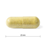 Buy Progressive Multivitamin Active Men Online in Canada at Erbamin.