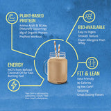 Buy Sun Warrior Protein Warrior Blend Online in Canada at Erbamin.