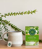 Buy Traditional Medicinals Green Tea with Toasted Rice Online in Canada at Erbamin.