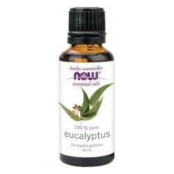 Buy Now Eucalyptus Oil Online in Canada at Erbamin
