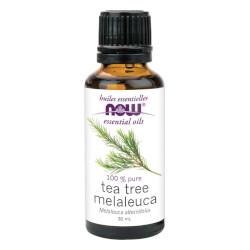 Buy Now Tea Tree Oil Online in Canada at Erbamin