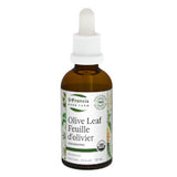 Buy St Francis Olive Leaf Online in Canada at Erbamin